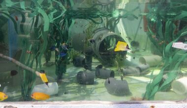 California aquarium works through night after nearly 500 trafficked animals arrive at once
