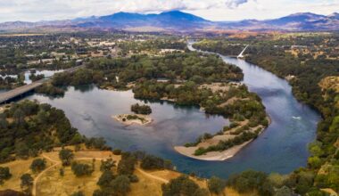 California biologists warn Sacramento River heat could kill 1 in 5 Chinook salmon eggs