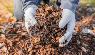 California wildfire survivors told to use organic mulch as El Niño raises flood, toxic runoff risks