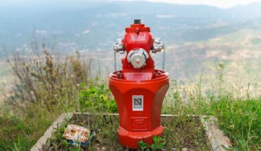 California bill gives water agencies new shield as Los Angeles wildfire hydrant lawsuits grow