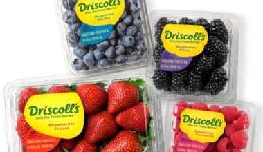 California whistleblower suit alleges millions of Driscoll's berry trays exceeded pesticide limit
