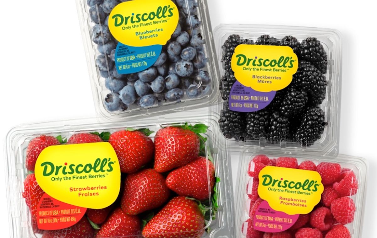 California whistleblower suit alleges millions of Driscoll's berry trays exceeded pesticide limit