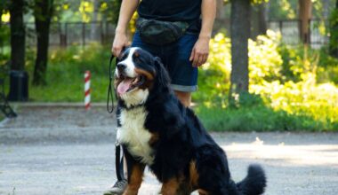California family says $10,000 dog training stay ended with pet's death, more owners speak out