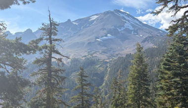 California hikers rescued from mountain after using AI route planner
