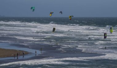 More than 100 people gather in San Francisco to scream at the ocean