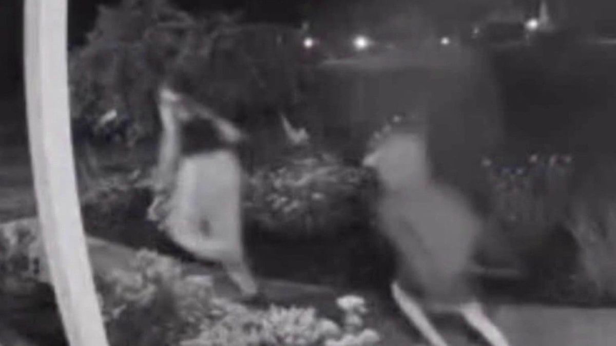 Oakland County porch pirates caught on camera stealing packages, police investigating
