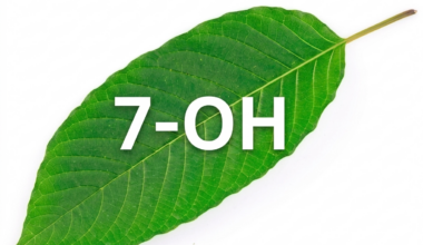 California Seizes More Kratom and 7-OH, but Online Orders Continue  — Pain News Network