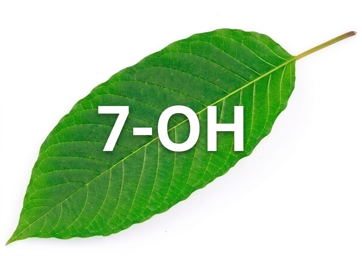 California Seizes More Kratom and 7-OH, but Online Orders Continue  — Pain News Network