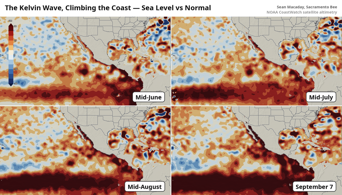 As El Niño has strengthened, warmer and higher seas have been sneaking up the coast along Mexico towards California.