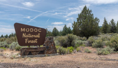 Forget Lake Tahoe, Visit California's Secluded Artificial Lake With Camping, Fishing, And Boating