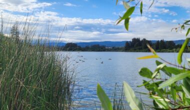 Between San Jose And Monterey Is California's Scenic Lake Park With RV Camping, Fishing, And Boating
