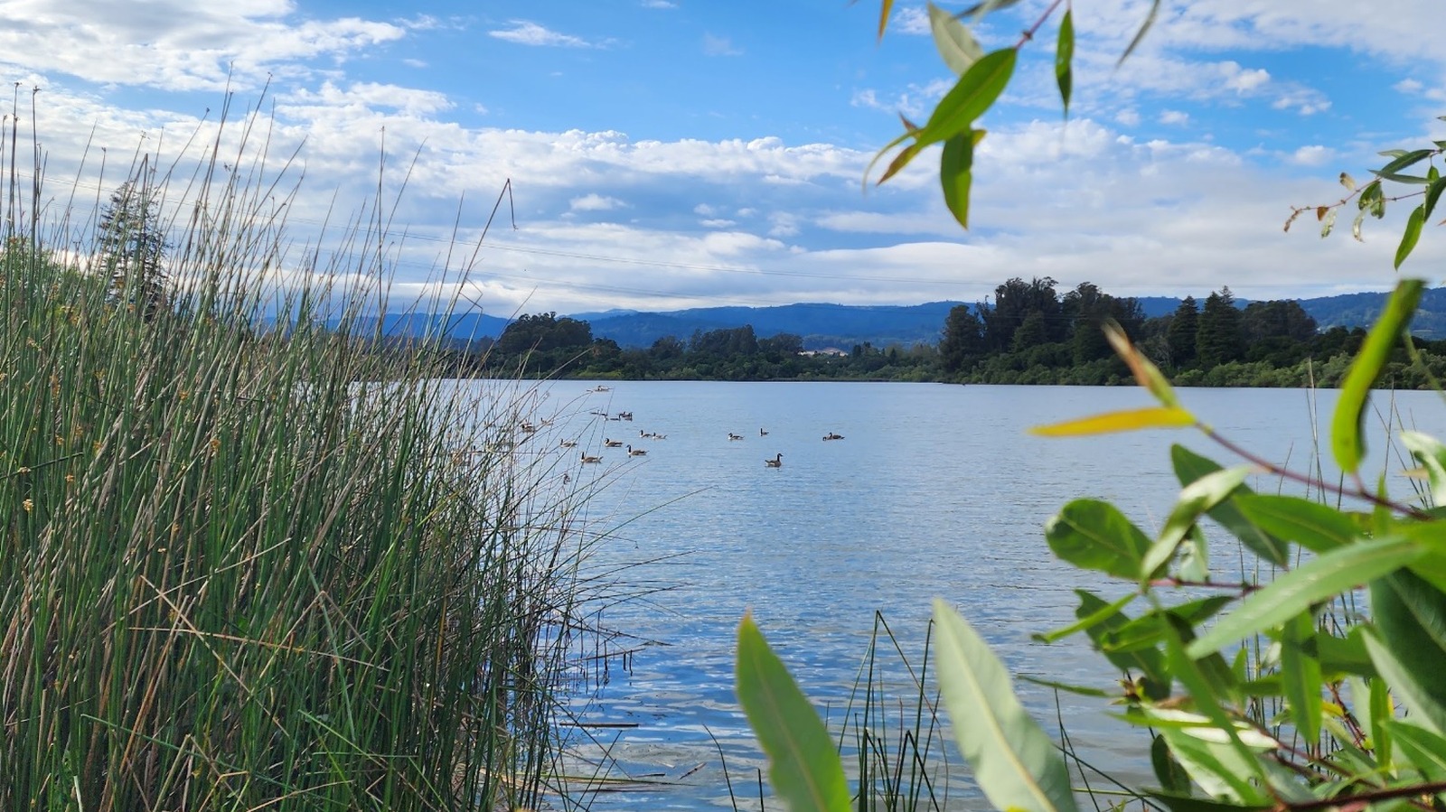 Between San Jose And Monterey Is California's Scenic Lake Park With RV Camping, Fishing, And Boating