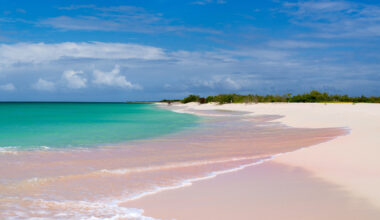Goodbye Trunk Bay, So Long Seven Mile Beach: Visit This Secret Caribbean Escape With Pink Sand Beaches