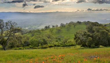 Outside San Jose Is California's Scenic Lake Park With Camping, Fishing, And Hiking Trails