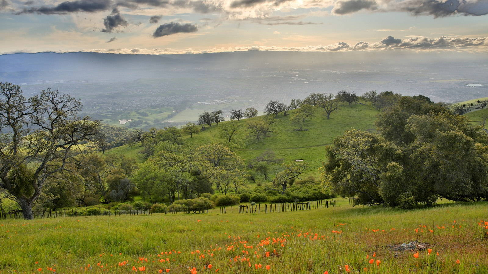 Outside San Jose Is California's Scenic Lake Park With Camping, Fishing, And Hiking Trails