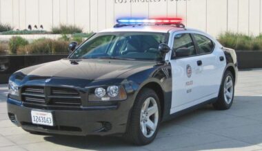 Judge upholds $6.6M verdict over LAPD detention of Los Angeles veteran