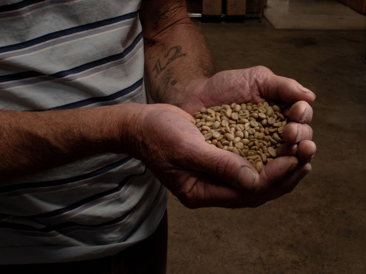 From green beans to great coffee: Inside the East Bay’s blooming home roasting scene
