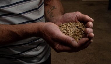 From green beans to great coffee: Inside the East Bay’s blooming home roasting scene