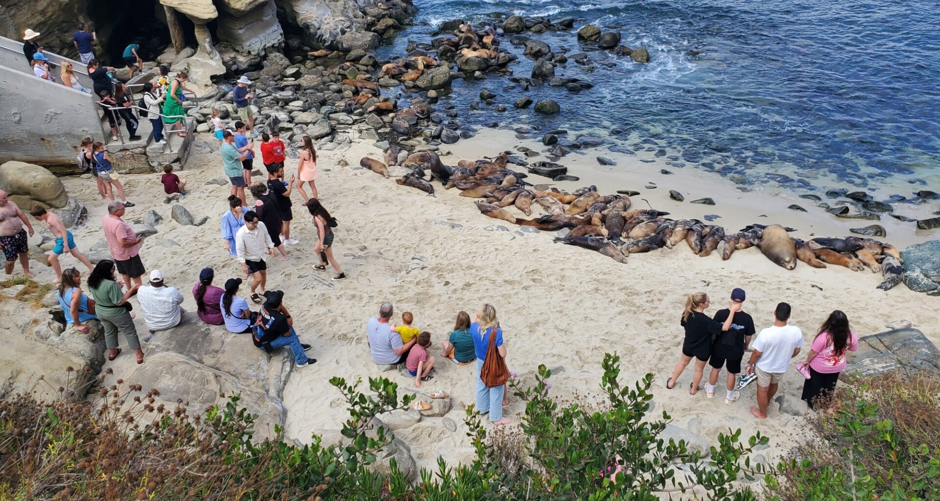 Coastal Commissioners would ‘very much’ support limited access to La Jolla Cove – San Diego Union-Tribune
