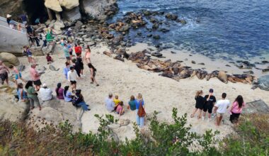 Coastal Commissioners would ‘very much’ support limited access to La Jolla Cove – San Diego Union-Tribune