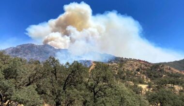 Containment grows on Lucas Fire near California's Mendocino National Forest