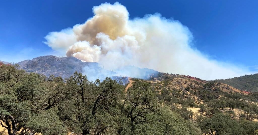 Containment grows on Lucas Fire near California's Mendocino National Forest