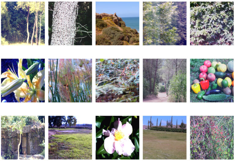 15 photos of nature scenes, including fruit, trees, flowers, fields and the sea