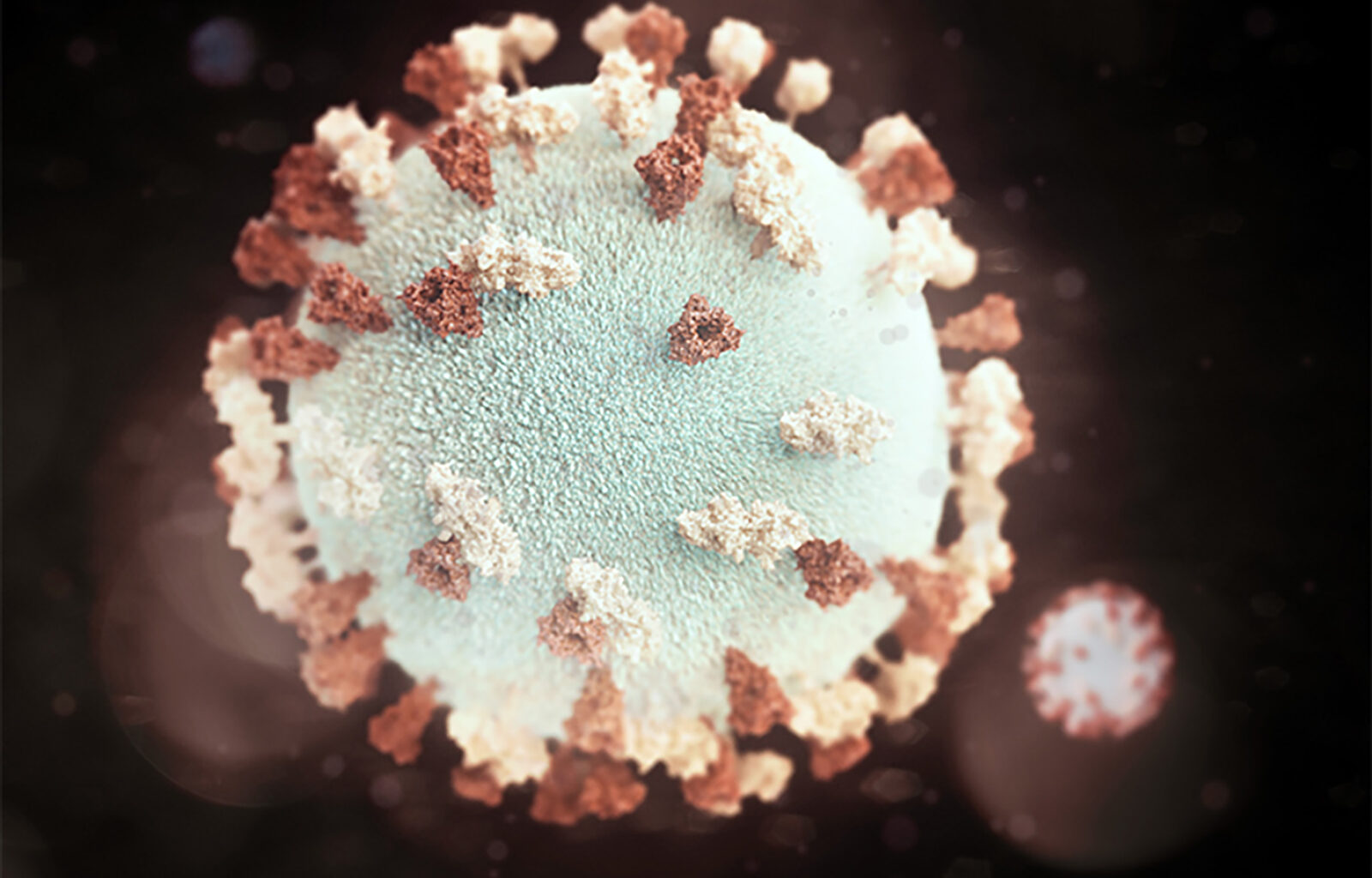 County Confirms Mumps Outbreak at San Diego State University | News
