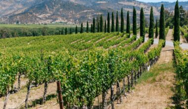 winegrapes