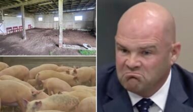 Sacramento County slaughterhouse ‘kill floor’ moves forward despite neighbor backlash