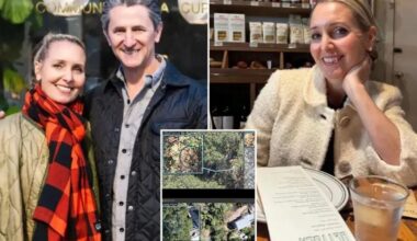 New clues in search for missing California coffee shop owner Amy Hillyard 6 months after her disappearance