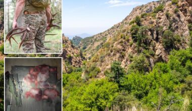 Blood-soaked California deer hunters arrested after cops make horrifying discovery