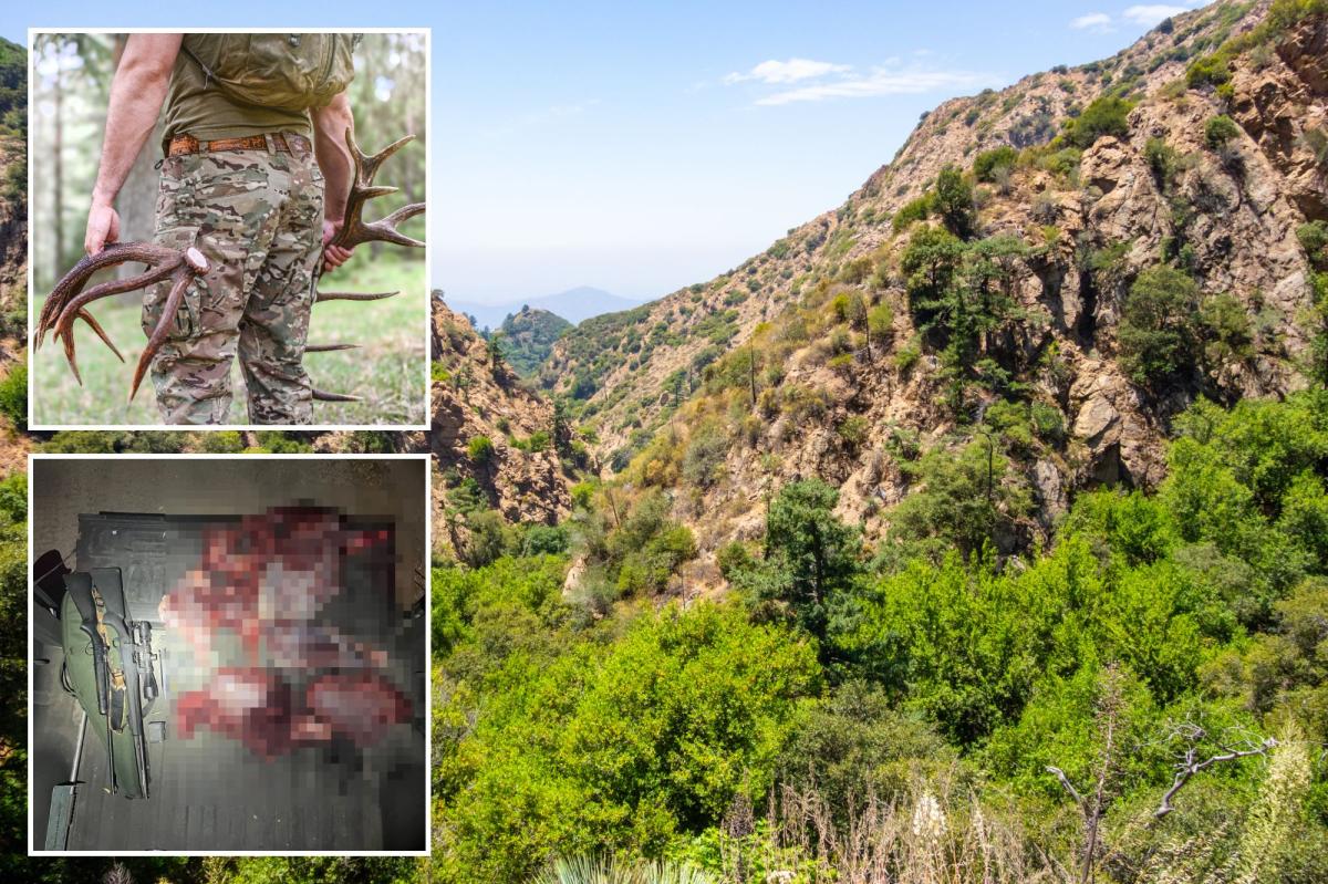 Blood-soaked California deer hunters arrested after cops make horrifying discovery