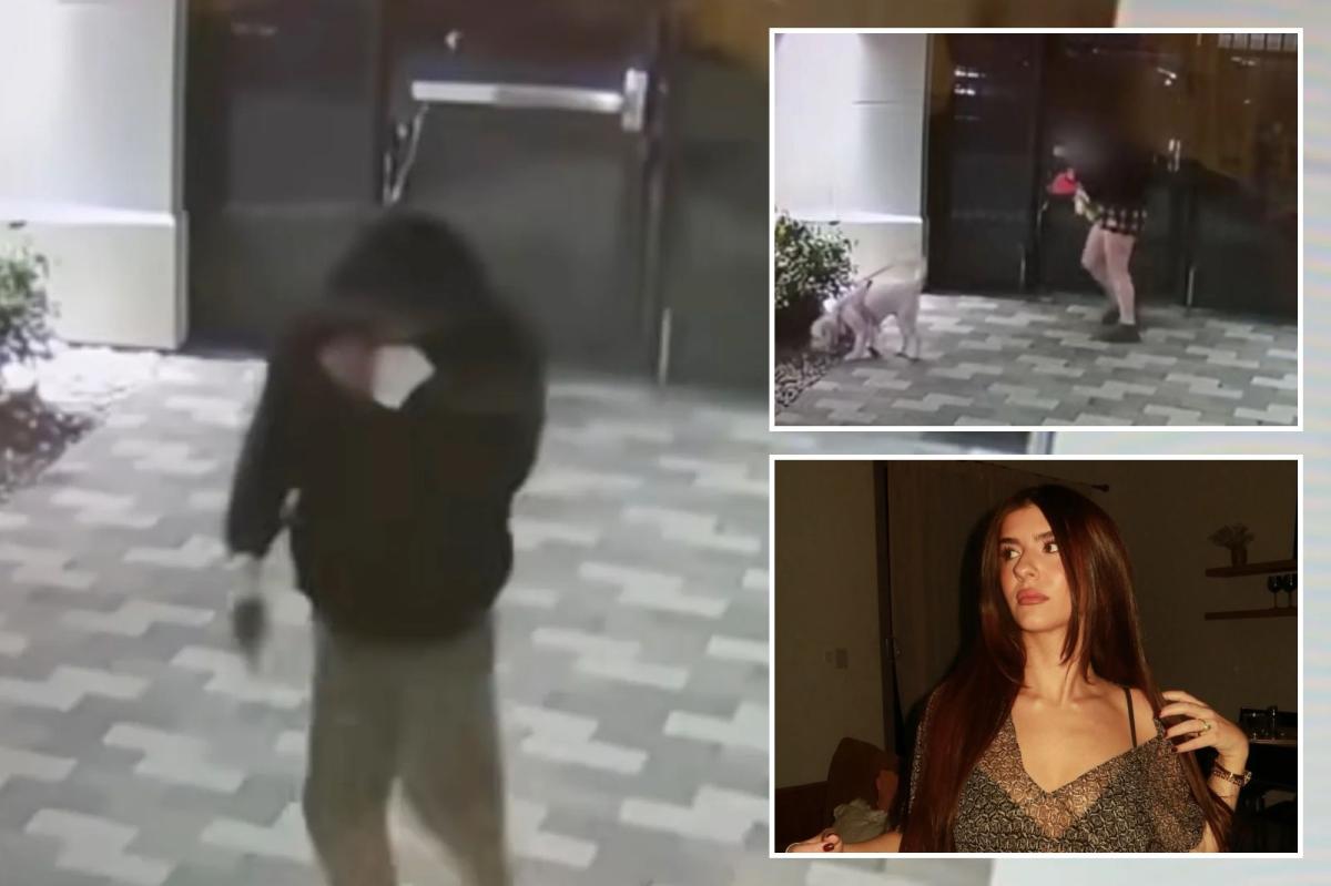 Homeless man chases California college student into her off-campus home