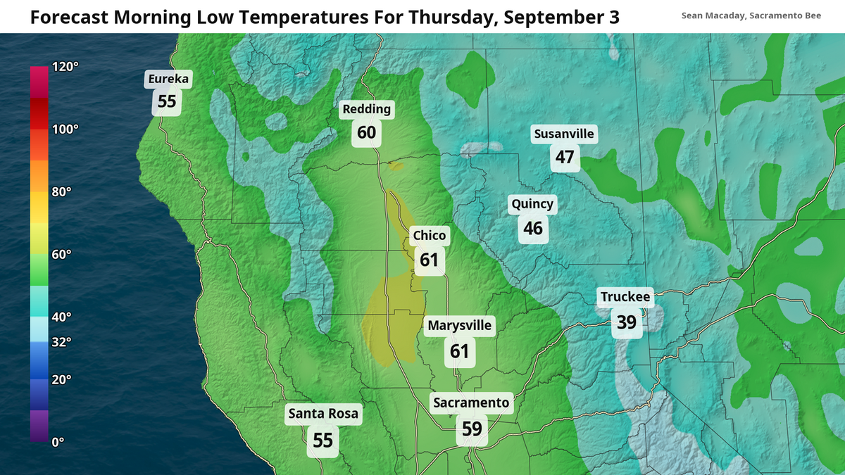 Forecast low temps Thursday morning