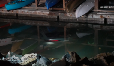 Oceanside Harbor vehicle submerges and three people escape – NBC 7 San Diego