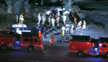 1 killed, 3 injured in crash off 118 Freeway in Pacoima – NBC Los Angeles