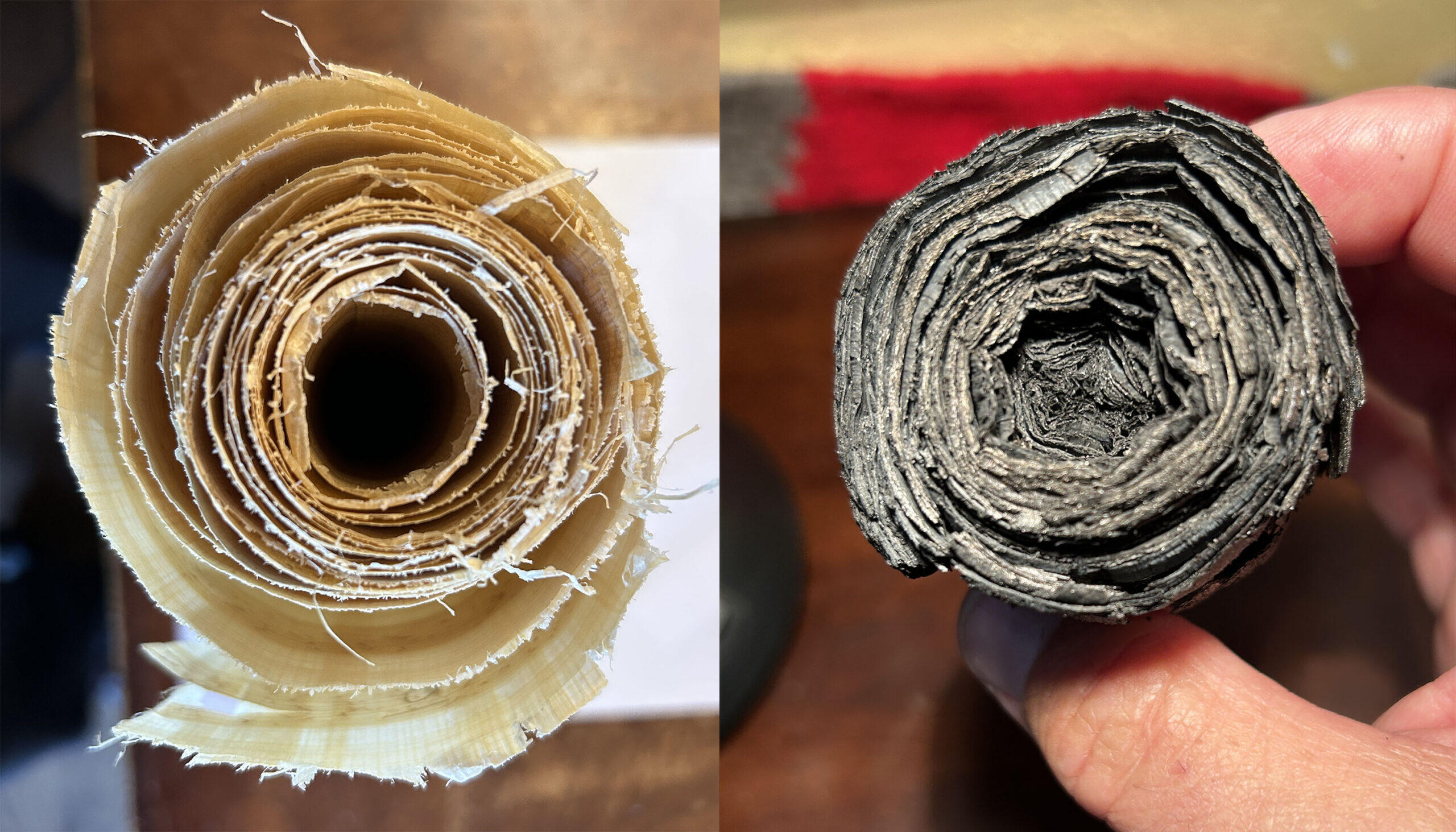 End view of papyrus scroll that is white before and black after carbonizing.