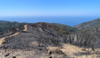 Plaskett Fire evacuations lifted as progress made on fires in California's Big Sur