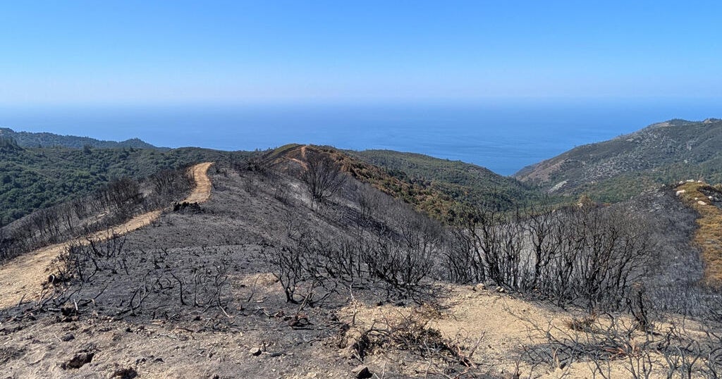 Plaskett Fire evacuations lifted as progress made on fires in California's Big Sur