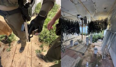3 arrested in raid on illegal marijuana grow operation, sheriff’s office says