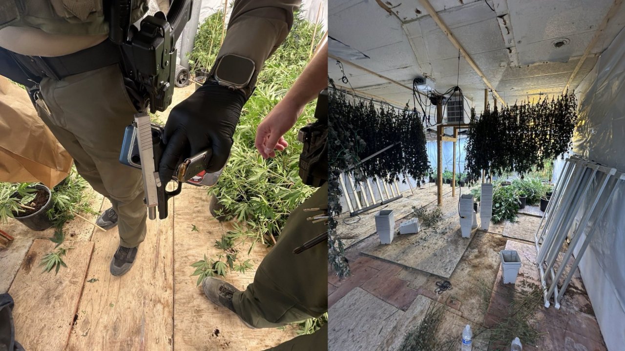 3 arrested in raid on illegal marijuana grow operation, sheriff’s office says