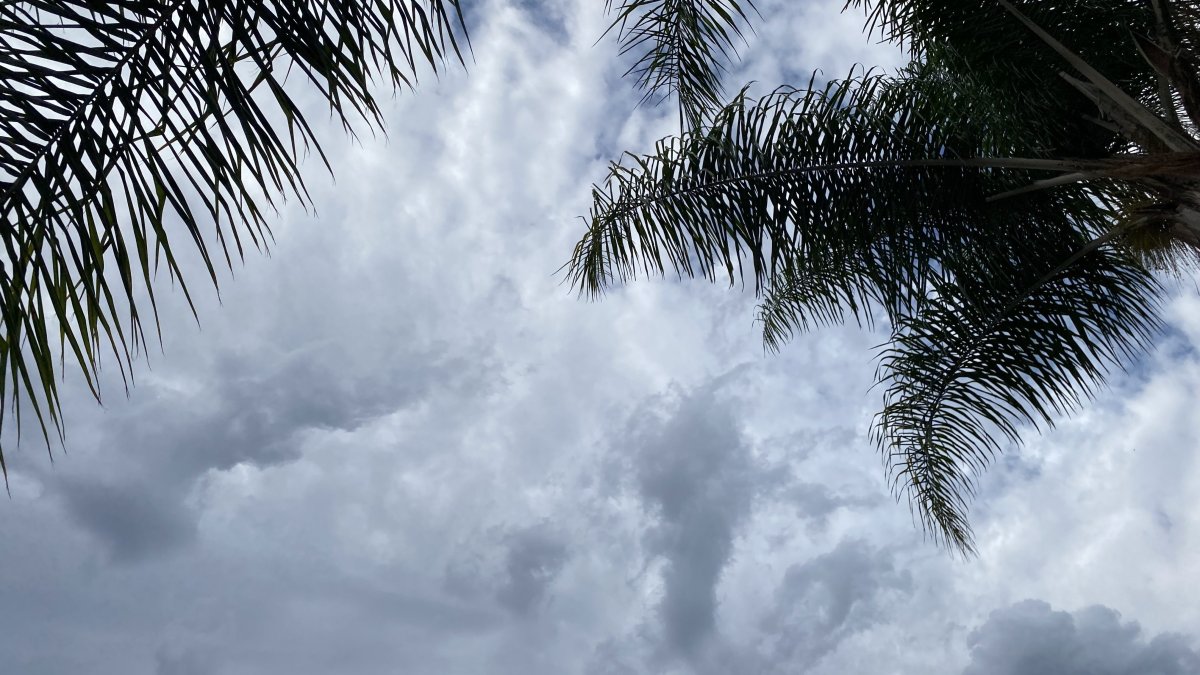 Hurricane Marie may bring showers and high surf to San Diego – NBC 7 San Diego