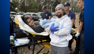 Mother gives birth during traffic jam in San Francisco's Golden Gate Park
