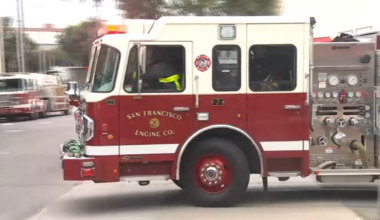San Francisco firefighters rescue wild parrot stuck on third-floor balcony – NBC Bay Area