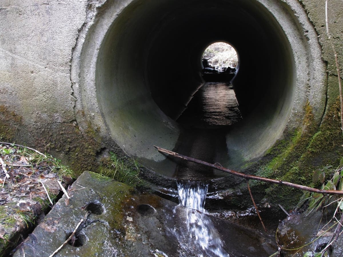 Oakland Considers Ramapo River Stormwater Work Ahead Of Tuesday Vote
