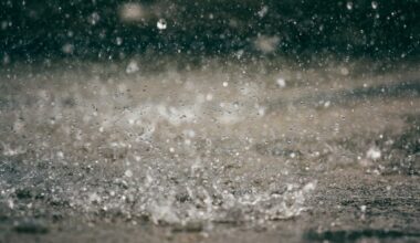 High Surf, Rain Possible Over Labor Day Weekend In Seal Beach: How To Prepare