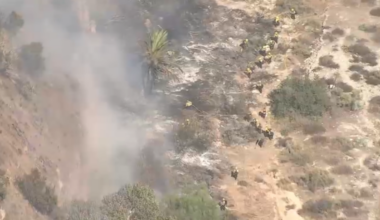 Brush fire burns on hillside in Sunland – NBC Los Angeles