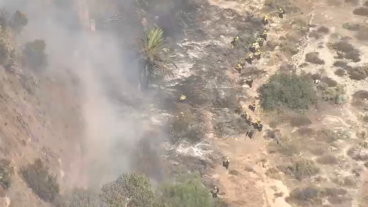 Brush fire burns on hillside in Sunland – NBC Los Angeles