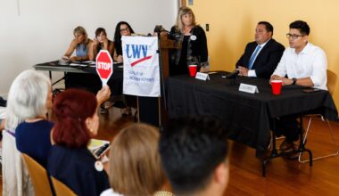 Candidates in the District 8 S.D. council race debate future of the community – San Diego Union-Tribune